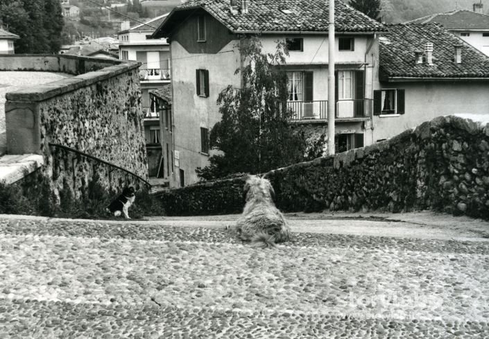 Veduta dall'esterno della Chiesa di San Lorenzo Martire