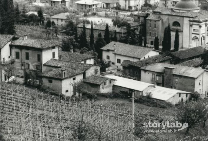 Vista Di Rosciate, Dai Vigneti