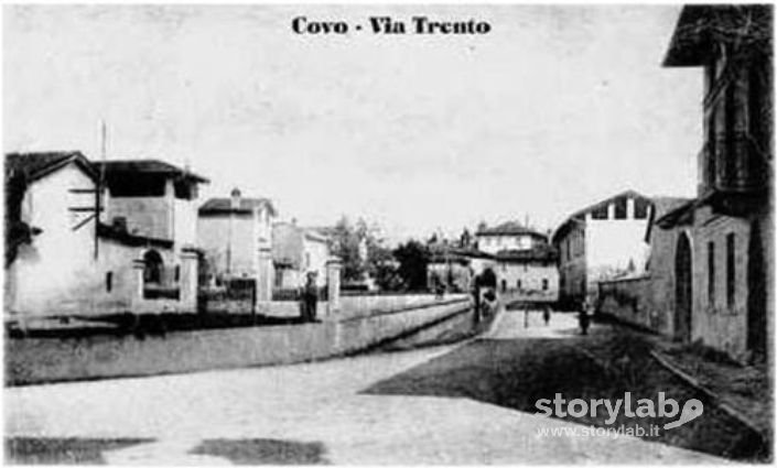 Covo