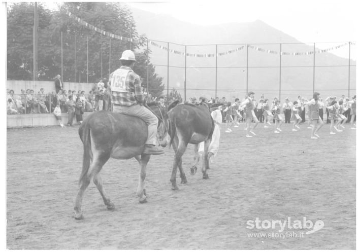 PALIO DEGLI ASINI