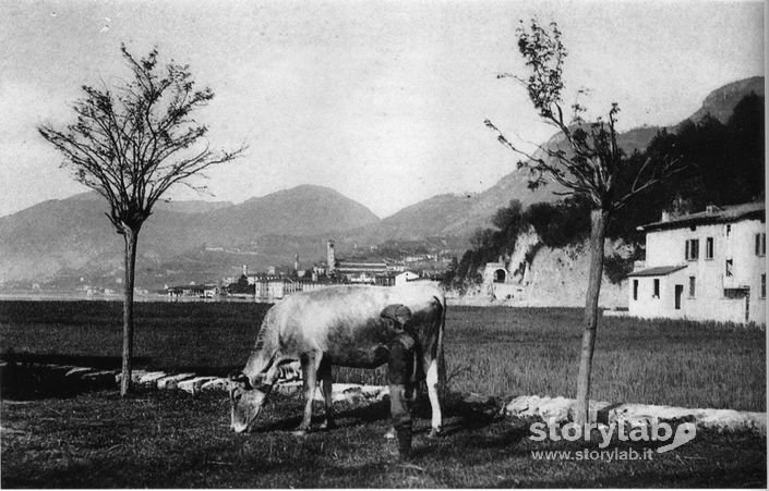 Paesaggio con pastorello e mucca