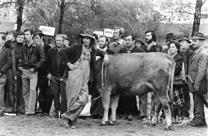 Esposizione animali località Bersaglio