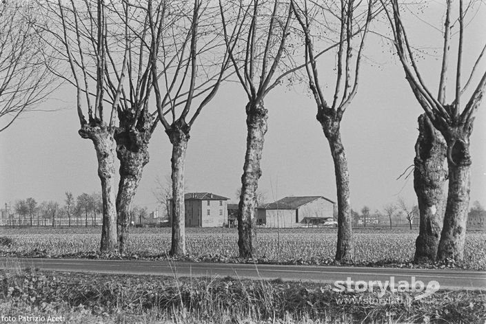 Da Ghisalba a Malpaga, Cascina Alessandra. 1989