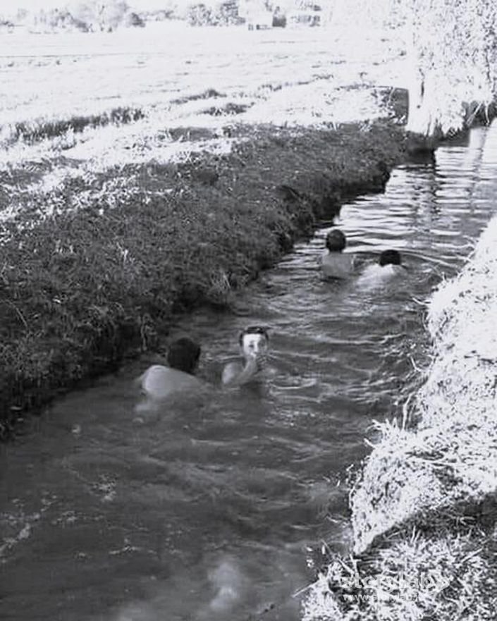 Bagni nella roggia Morlana lungo Borgo Palazzo