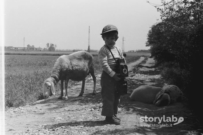 Il Piccolo Fotografo