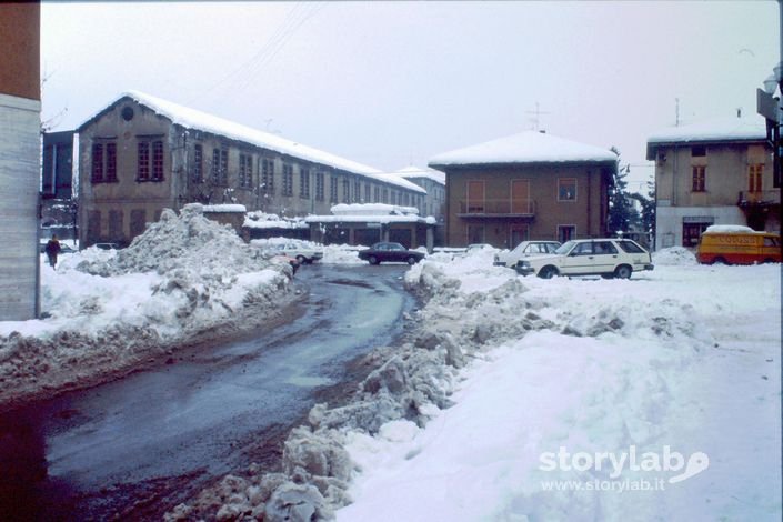 Nevicata 1985