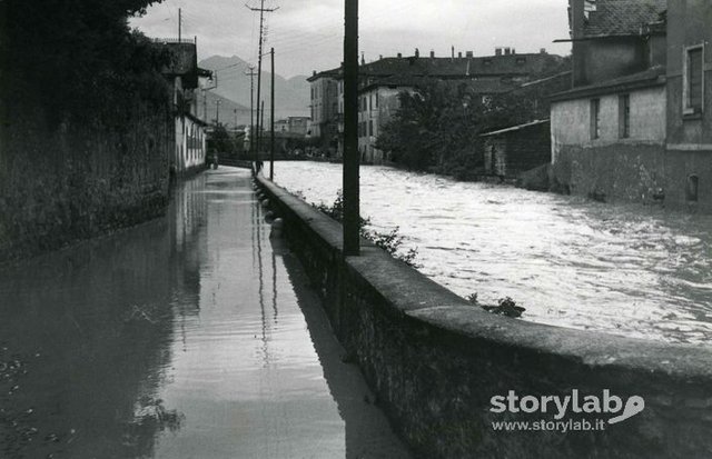 Torrente Morla | Storylab